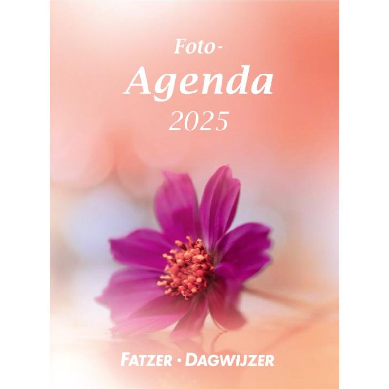 Foto-agenda 2025